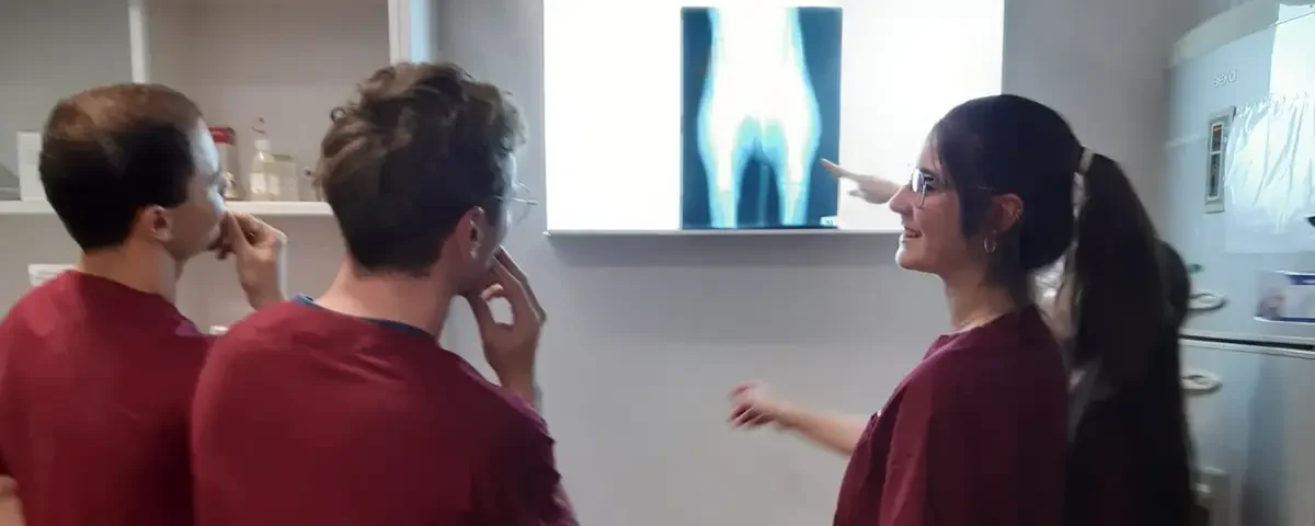 Veterinary nursing in Portugal: Veterinary nurses in red uniforms looking at a canine X-ray image