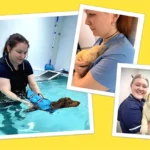 Veterinary nursing in focus: meet the winners of the Acovene Photo Contest 2026