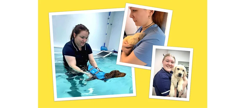 Veterinary nursing in focus: meet the winners of the Acovene Photo Contest 2026